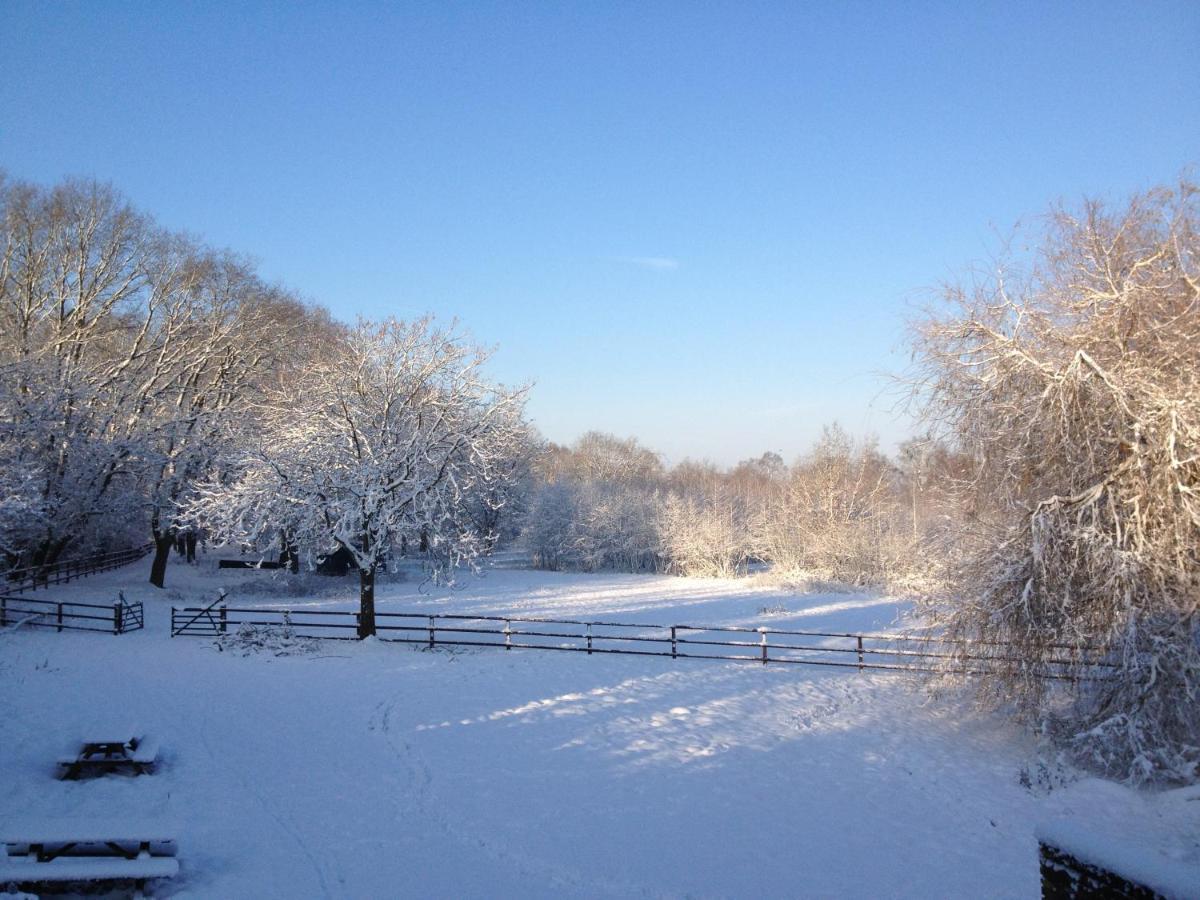 B&B Landgoed Bergerven Horn ภายนอก รูปภาพ